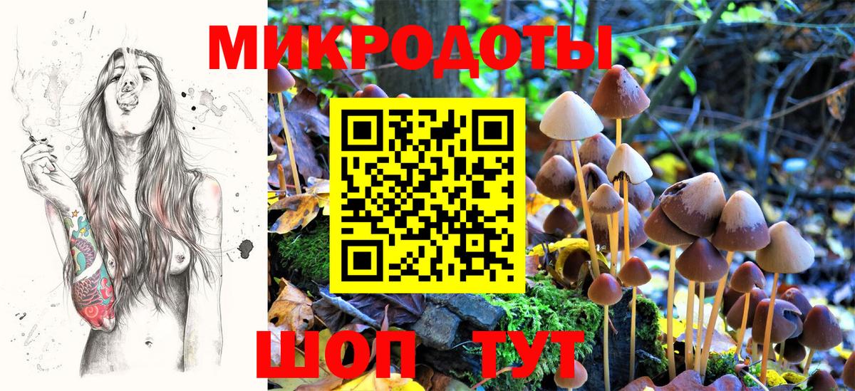 Галлюциногенные грибы ЛСД Котовск