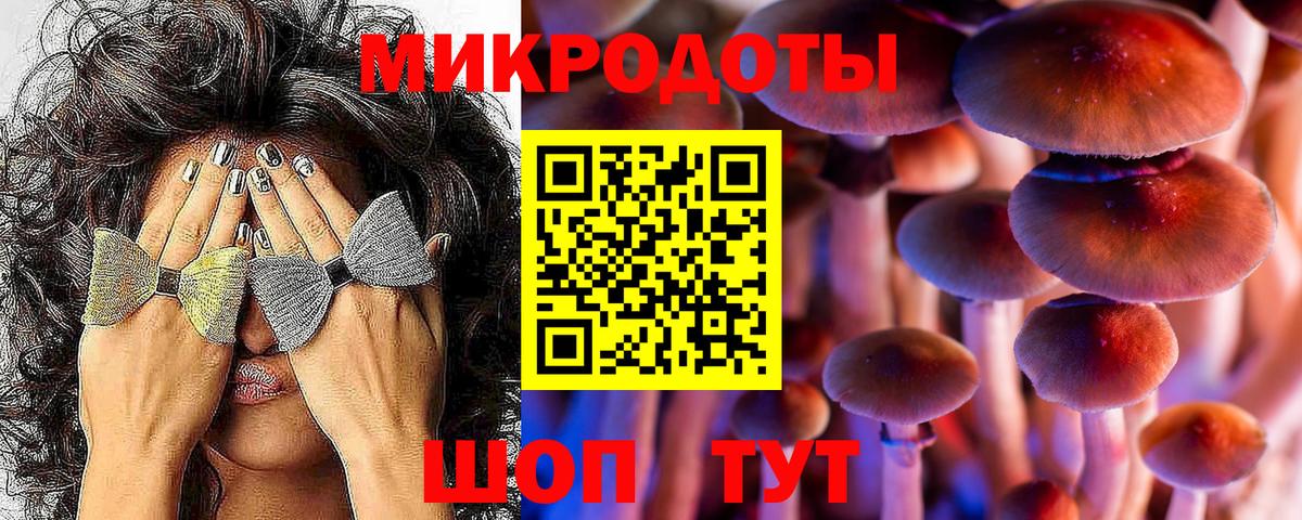 Котовск  Псилоцибиновые грибы мухоморы  Вход с VPN  Галлюциногенные грибы Cubensis 